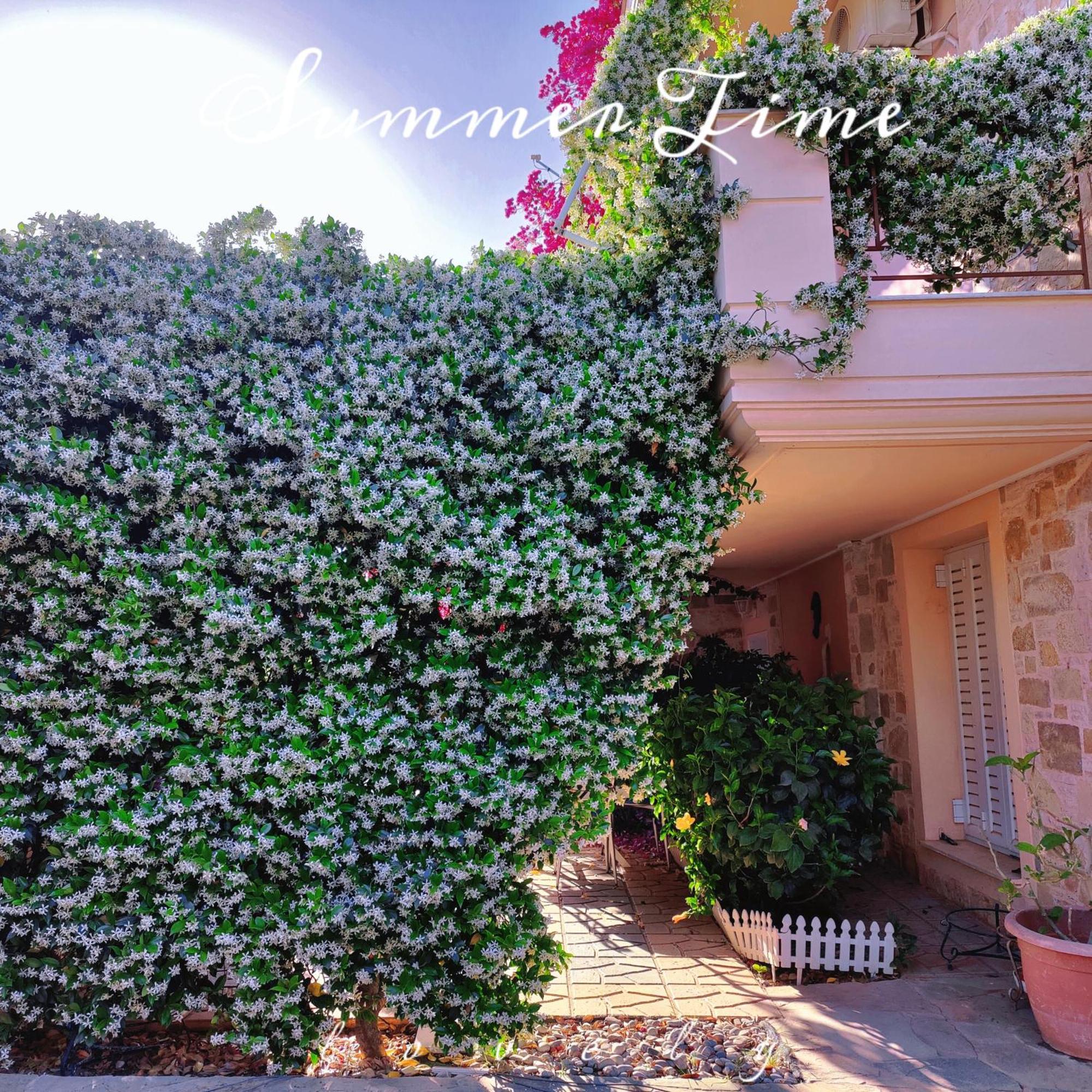 Artemis Garden Near Airport Otel Dış mekan fotoğraf